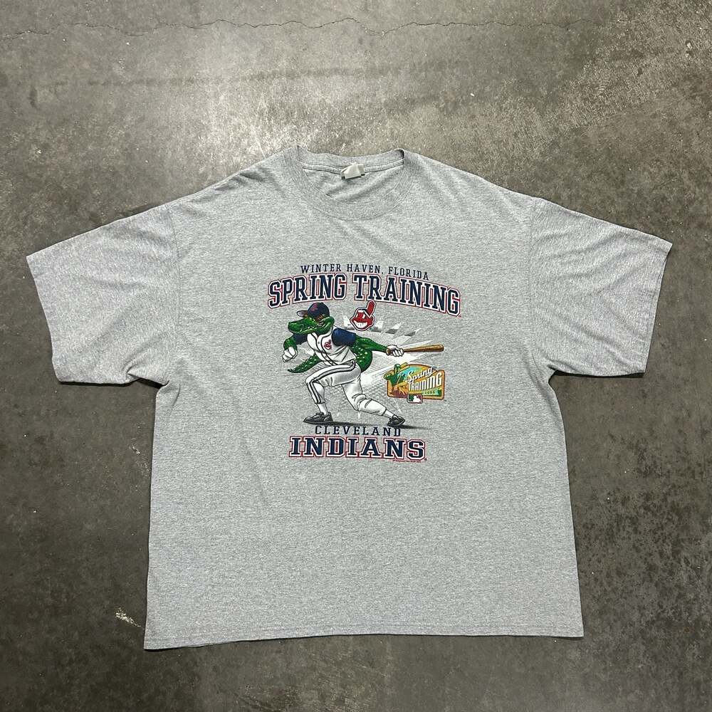 Vintage 2005 Cleveland Indians Florida Spring Training T-Shirt Gray Lee Sport